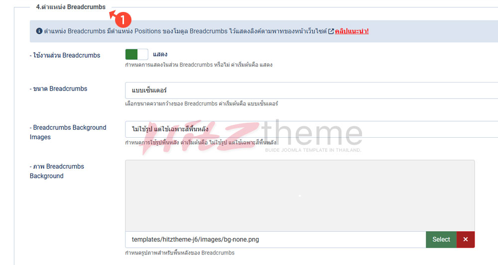 คู่มือการใช้งาน Hitztheme template
