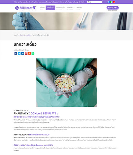 ตัวอย่างหน้าเว็บไซต์เทมเพลตจูมล่า