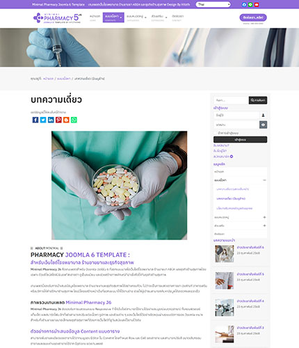ตัวอย่างหน้าเว็บไซต์เทมเพลตจูมล่า