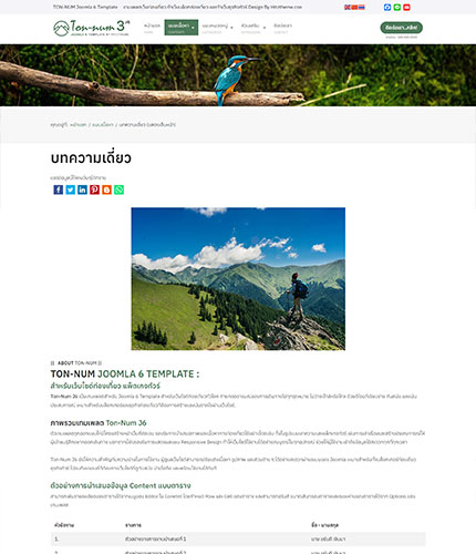 ตัวอย่างหน้าเว็บไซต์เทมเพลตจูมล่า